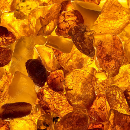 Collection image for: Amber