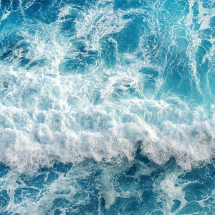 Collection image for: Aquatic